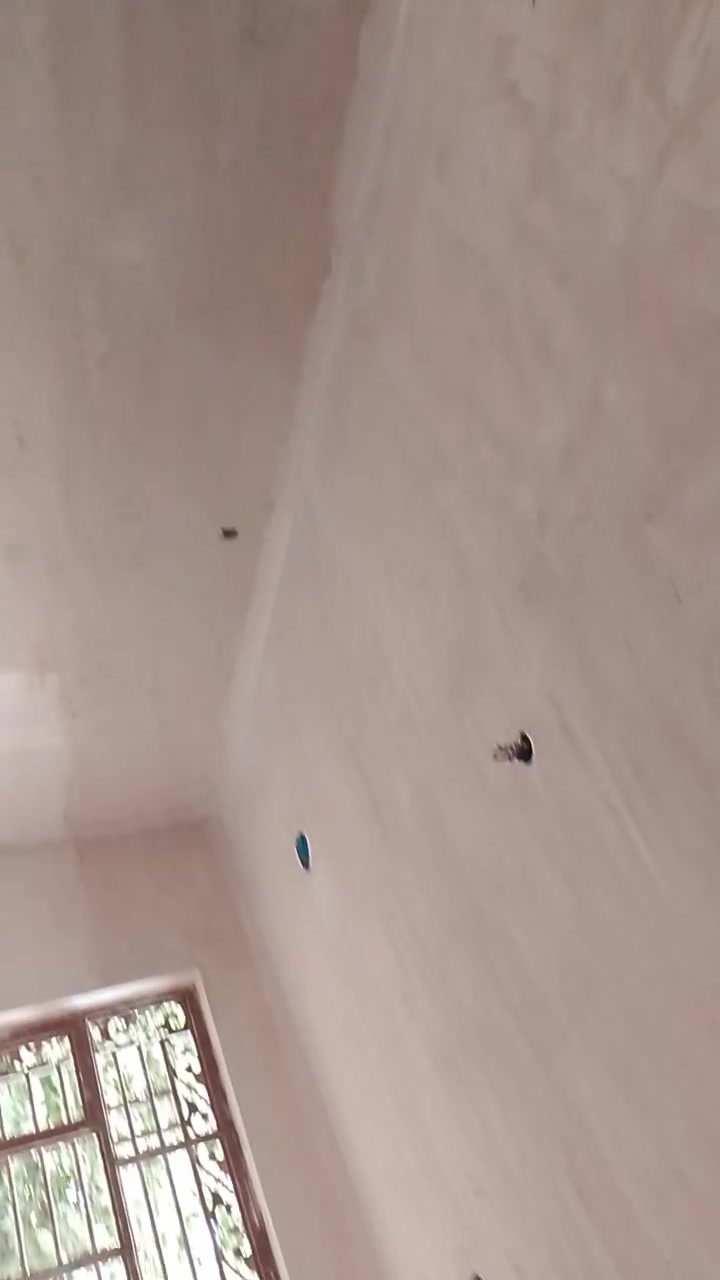 جص بورك لبخ • شغل هندسي • الطارمية