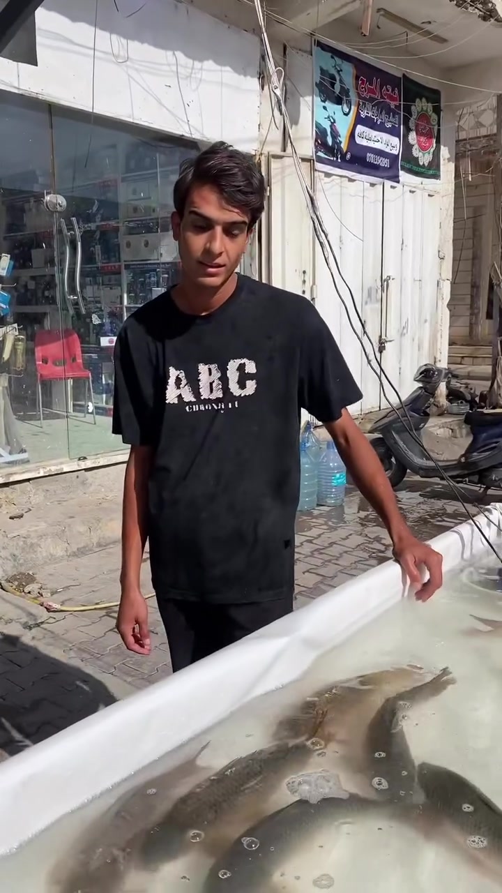 عرض اليوم الثلاثاء الكيلو (ب4000 دينار فقط)♨️💯
5كيلوات ب20 الف فقط 1️⃣
كميات خير من الله كافة الاوزان متوفره 
العنوان ال باني شارع الكفيل مقابل مدرسة النهرين الاهليه
توصيل موجود جميع مناطق السماوه 
للطلب *********** واتساب او مراسلة الصفحه
حياكم الله وكل الهلا بيكم🤍💙
