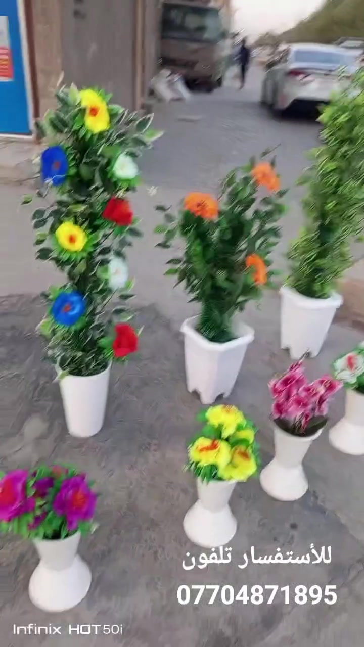 مستعدون لتجهيزكم شتلات ورود ثيل مع ورود اصطناعية والتوصيل مجاني واتساب ***********
