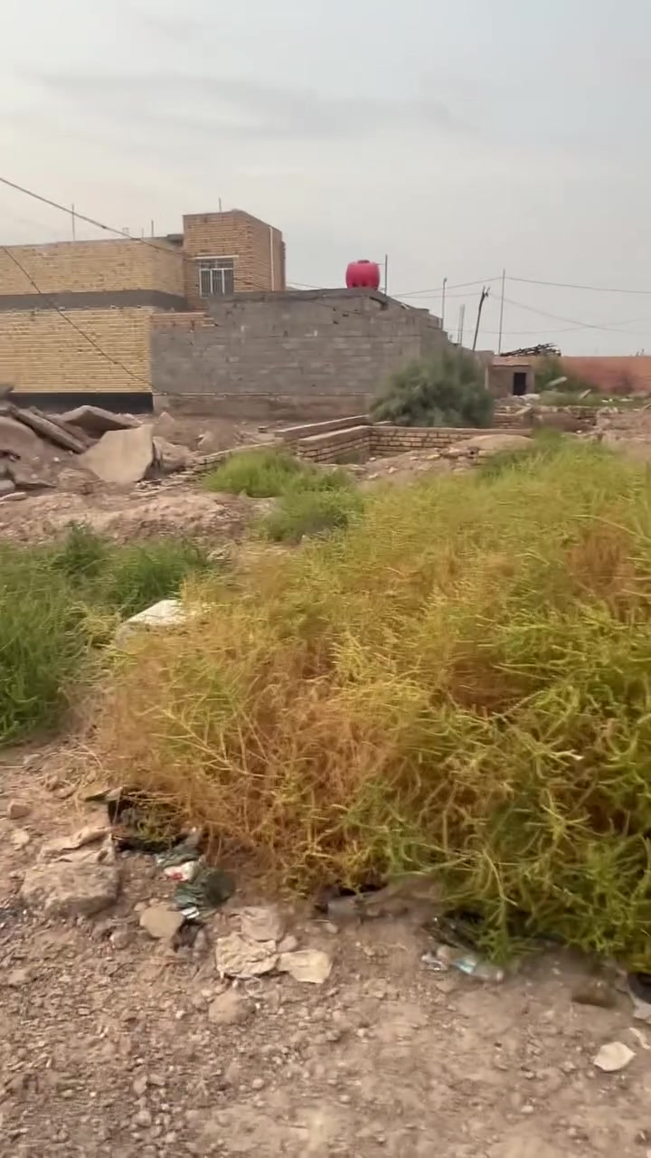 بل كوت • ٢٥٠م • قطعة ٣١٢
