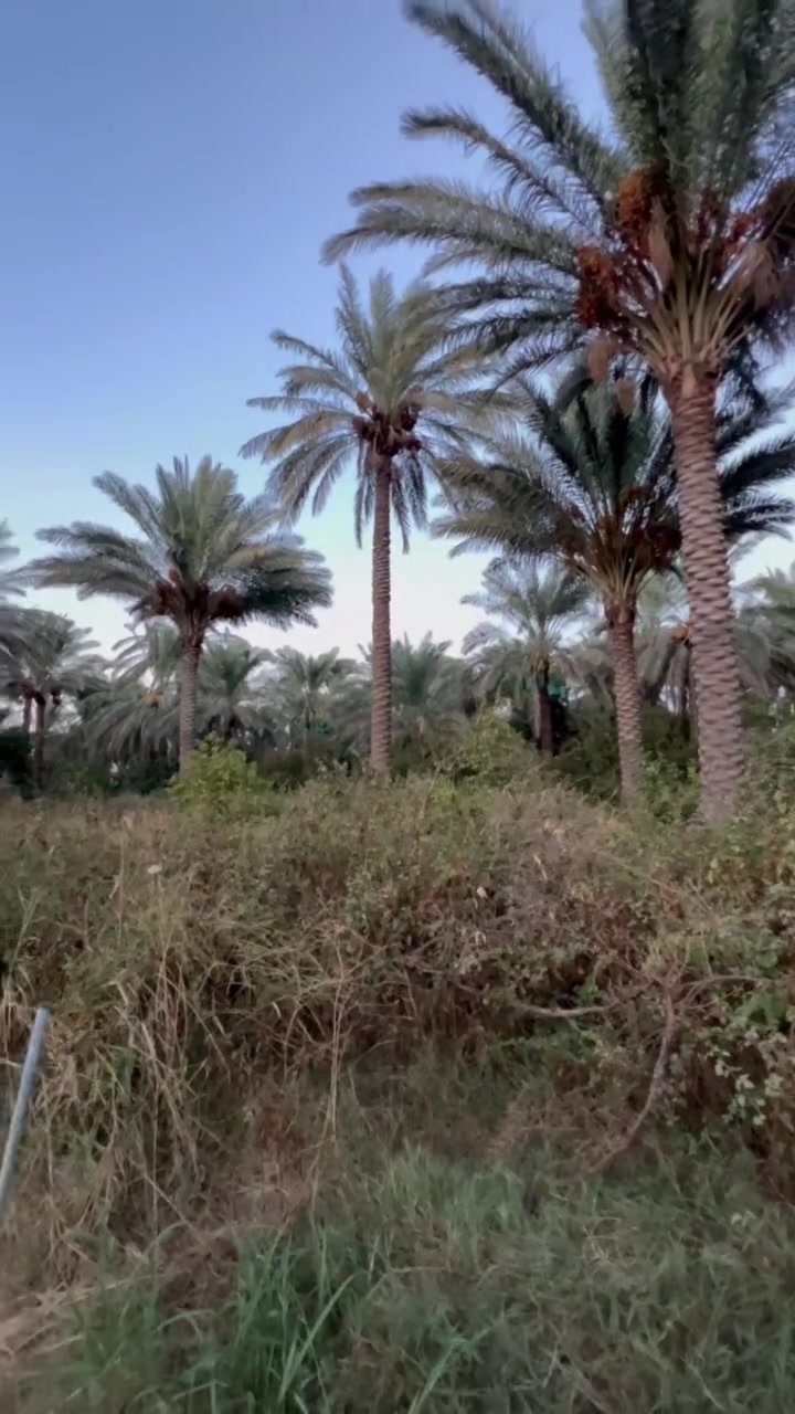 السلام عليكم ورحمة الله وبركاته 👋👋

قطعه ارض للبيع المساحه (500) 

الواجه (23m)
النزال (20m)

الخدمات 
ماء 💦 
كهرباء ⚡️ 
شارع (6) متر 

صنف العقار طابوا زراعي سند (25) 

العنوان بغداد الراشديه منطقه الساده البوحيات 

للتواصل حول معرفه السعر 
*********** 

 # #ال
 #العراق
 #بغداد
 #الراشديه
 #اليرموك
 #الي
 #قطع
 #اراضي
 #مزراع
 #م
 #ف
 #تجاره
 #بيع
 #شراء
 #دور
 #سكنيه
 #فلل
 #شاليات
 #الصين
 #تكولنجيا
