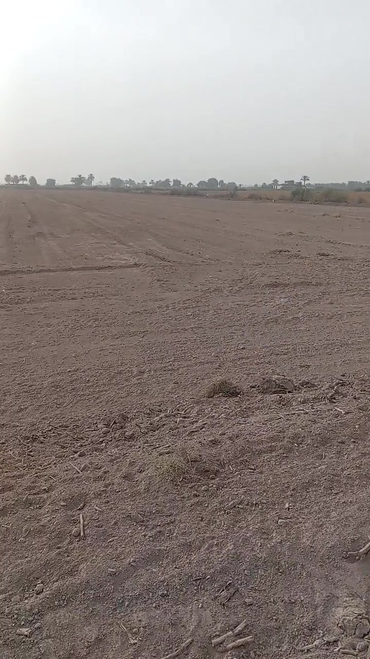أرض • للبيع
