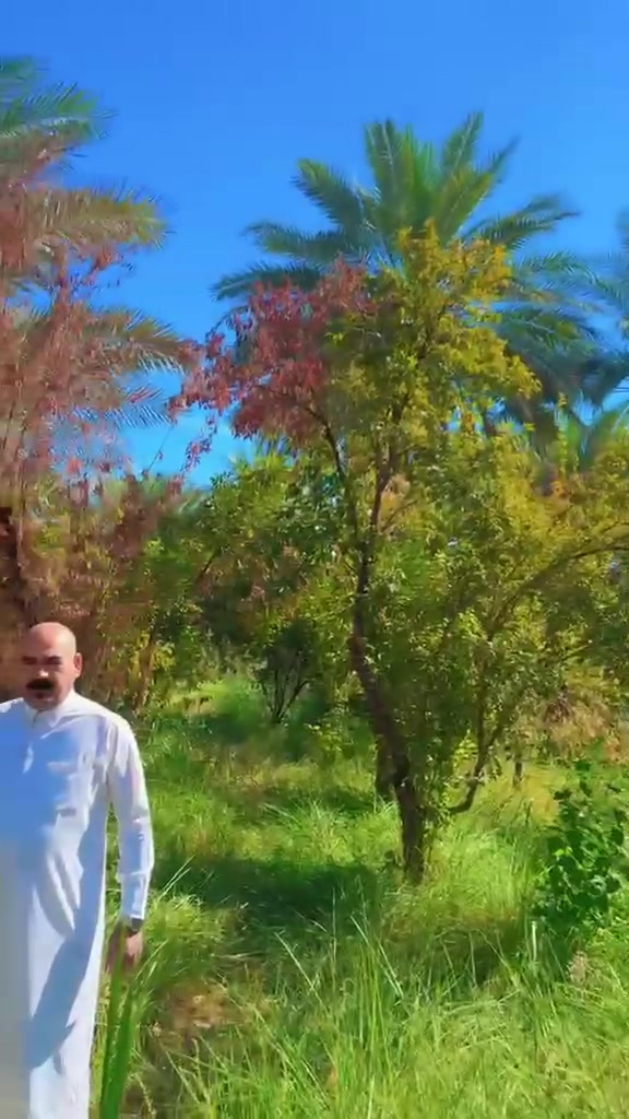 نص دونم • الراشديه • سند ٢٥