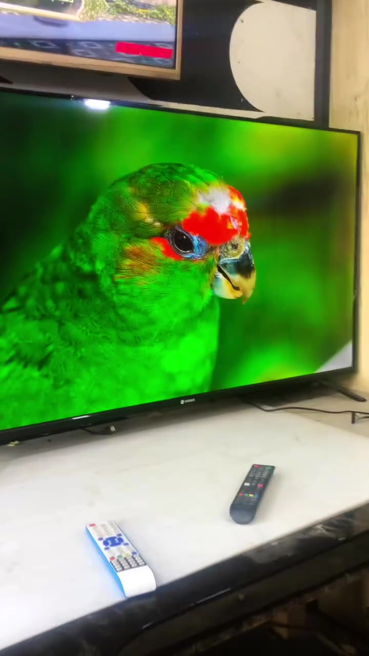 شاشة بحجم خيالي وسعر خيالي ومناسب🔥
نوع : snowa

حجـم : 55

كامل مواصفات 4K/ انترنيت واي فاي

عالية الدقة بأحدث دقة

مواصفات ماتلگاهة بس يمنا "🛑

السعر : 250$ بس 250الف

لاتفوت هيج شاشة بهيج سعر

المكان📍/ بغداد-ابودشير-الشهداء-تقاطع علي العتابي

رقم الهاتف : ***********
