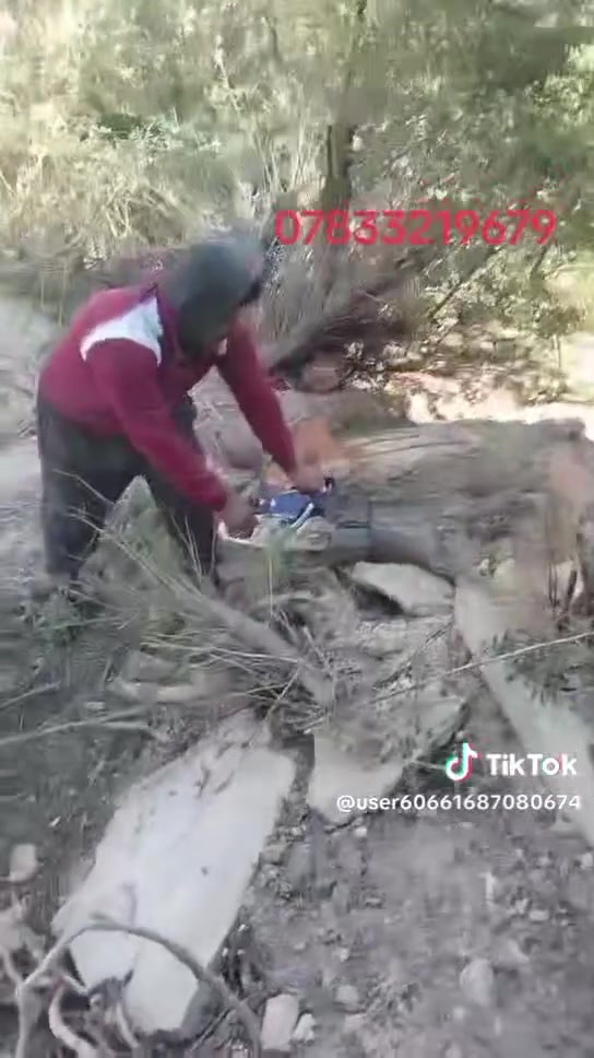السلام عليكم الي عنده أشجار لالتقطيع او قلع نخيل تنضيف بساتين الاتصال على الرقم ***********
