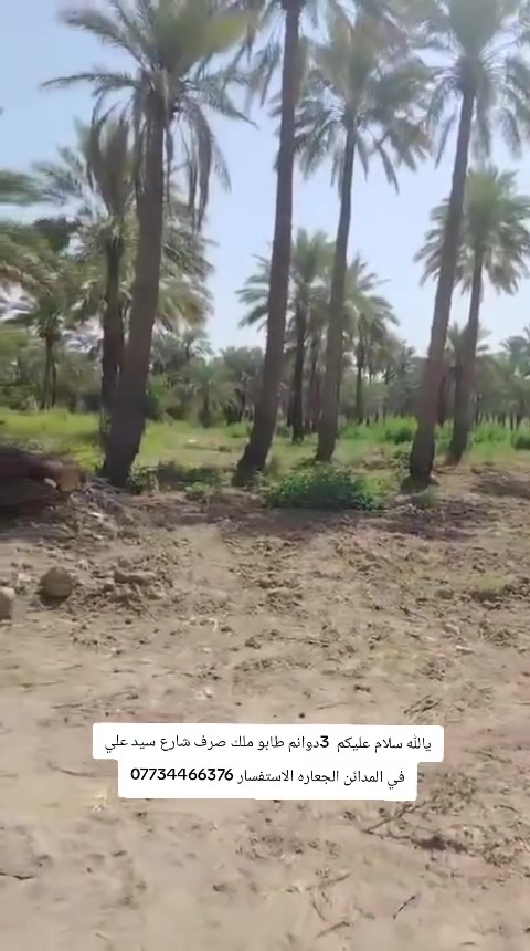 الاستفسار ***********
