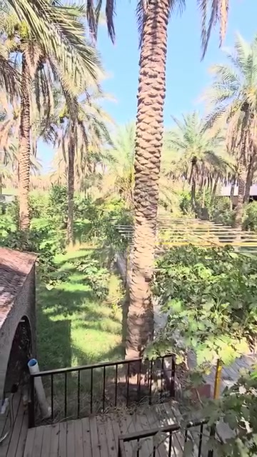 🔶 اعلان رقم 2578
موقع مثالي للترفيه في مدينة كربلاء المقدسه 🏡
المساحه دونم ٢،٥٠٠متر #موقع_ركن #للبيع
نوع العقار طابو سند ٢٥ تحويل بأسم المشتري 
العنوان مدينة كربلاء المقدسة منطقة الصلاميه
كل الخدمات ماء وكهرباء ومدارس واسواق وتبليط
تحتوي على عدد متنوع من النخيل والاشجار المثمره
السعر قابل للتفاوض للجاد في الشراء! 
باقي التفاصيل زيارة المكتب 📍 
كربلاء طريق السيده زينب ع قرب عمود 131 
او الاتصال 📞
ابو علي ***********
ابو علي ***********
