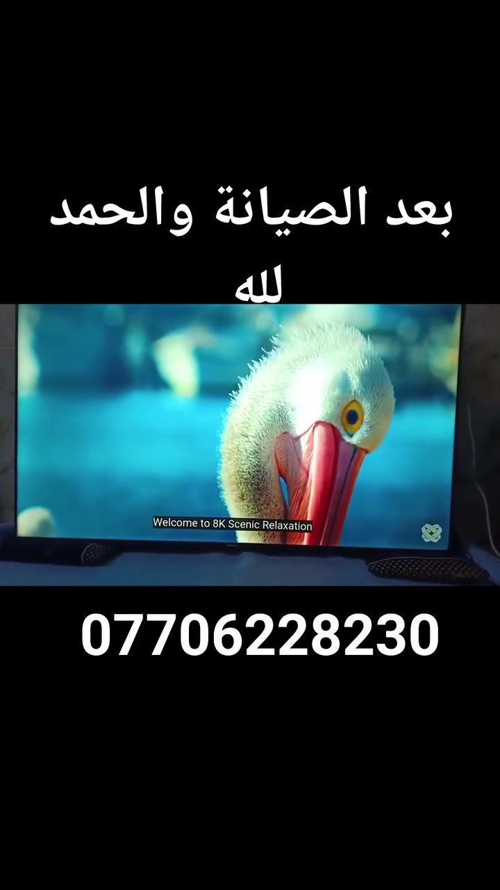 عندك شاشة عاطلة تريد اصلحها تواصل على الواتس آب وتدلل مكان الورشة بغداد الحسينية منطقة النفط مدخل الحمل.  ***********   الجميع @
