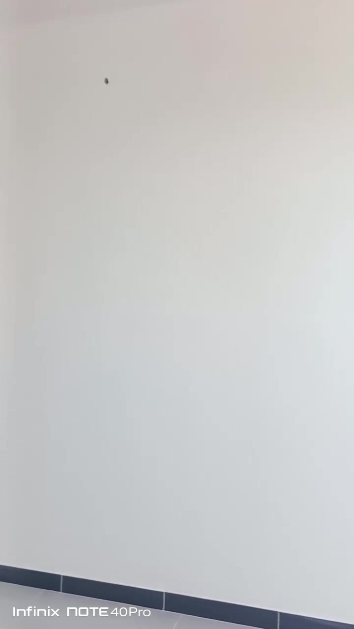 كادر جص وبياض • تسليم مهندس • بياض