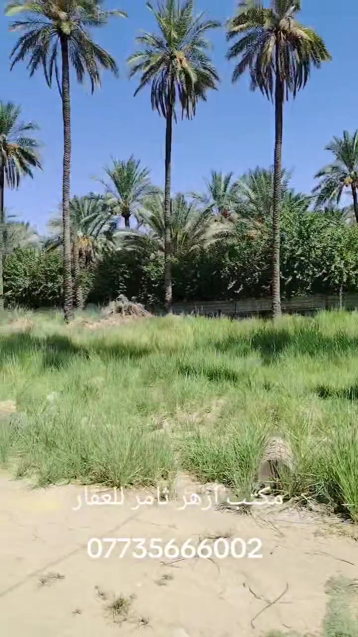 🏡 قطعة أرض للبيع – 250م²

📍 العنوان: بهرز – بداية بساتين بهرز، بالفرع مال بيت حصبله، بالقرب من بيت حصبله.

✨ مميزات القطعة:
• قريبة من البيوت والخدمات
• موقع هادئ ومناسب
• مناسبة للسكن أو إنشاء حديقة 🌿
• السعر مناسب جدًا

📞 للاستفسار والتواصل:
***********

📍 مكتب أزهر ثامر للعقار
