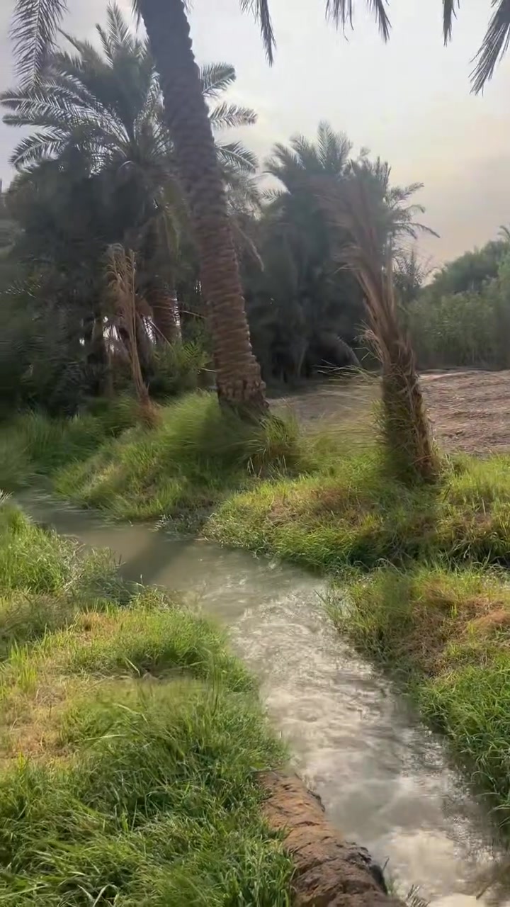 النوريه • ١٣٠ دونم • طابو صرف