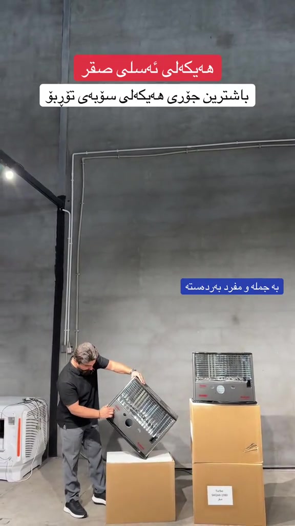 هيكل صقر • ياباني • جملة ومفرد