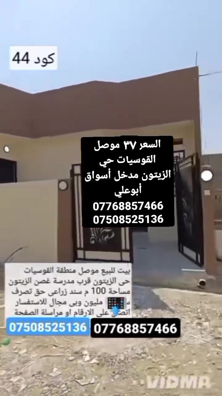 القوسيات • حي الزيتون • ١٠٠م