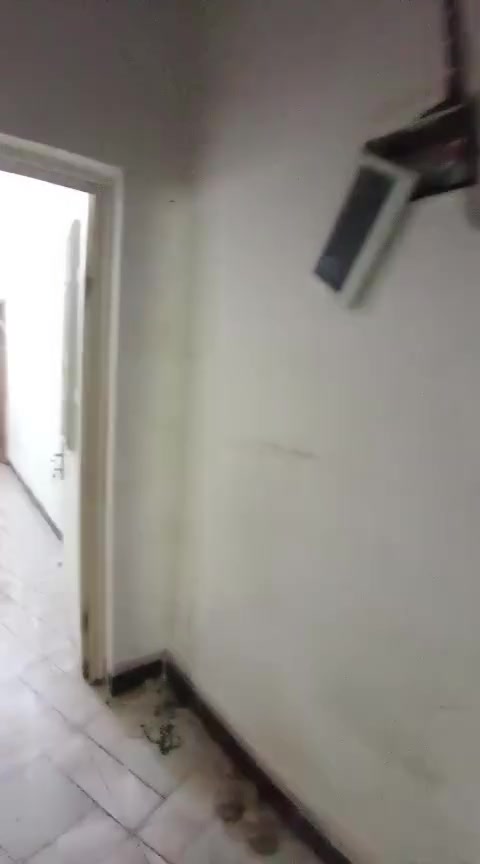 شقه للايجار ابو الخصيب حمدان الروميه قرب افران الفاخر غرفه وصاله ومطبخ وصحيات ايجار 275 معه الماي والكهرباء والمجاري للتواصل ***********
