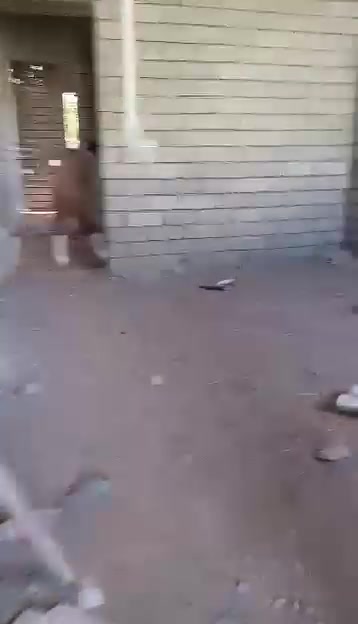 السلام عليكم صايب الدوكان يشتغل رقم واحد كافت العمال الحره اتصل ودلل  ***********
صايب الدوكان اللهيبي
