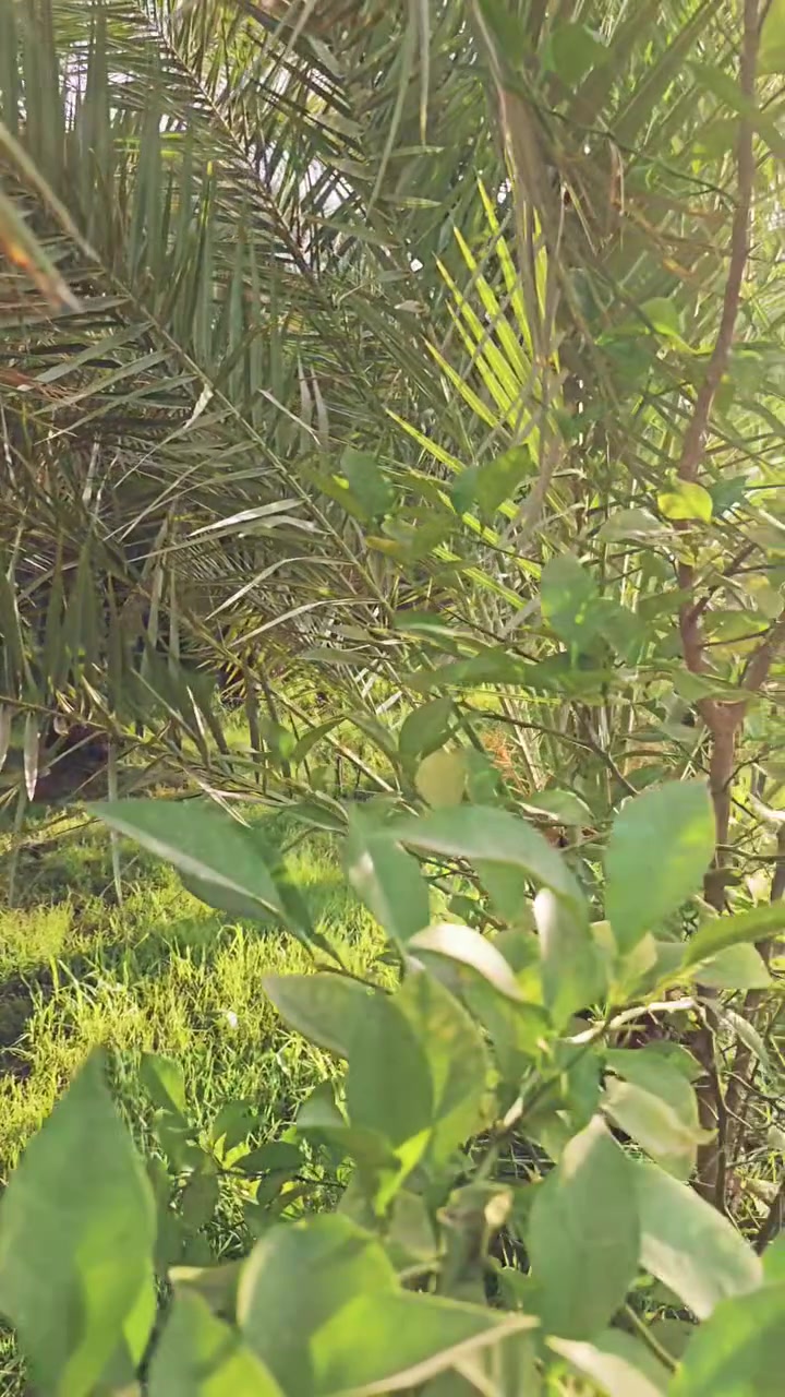 السلام عليكم 
الهم صل على محمد وآل محمد
(اربعه دونم ونص )  طابو زراعي سند ٢٥ .
ملك صرف .
العنوان : كربلاء المقدسة/ قضاء الحسينية/ منطقة مصطفى خان.
مقابل عمود( ٢٦٠) طريق السيده زينب ع 
للاستفسار اكثر الاتصال على الأرقام(***********و *********** )
#المكتب_مجاز_رسميا ً
للمزيد من العروض تابع الصفحة . #الجميع
