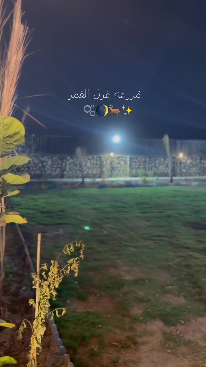 اللهم صلي ع محمد وال محمد
🌙 مزرعة غزل القمر — المواصفات

* 🔥 مناطق مشاوي مجهزة للجلسات والعوائل.
* 🌳 حدائق ومساحات خضراء للراحة والتصوير.
* 🛝 منطقة ألعاب للأطفال وآمنة للعوائل.
* 🏕️ خيام وجلسات عربية بطابع تراثي وخصوصية.
* 🏊 مسبح مناسب للترفيه والاستجمام.
* 💦 شلالات ونوافير مائية تضيف أجواء جميلة للمكان.
* 🛏️ غرفتين نوم مجهزة للراحة.
* 🍳 مطبخ مجهز للاستخدام.
* 🏠 استقبال كبير وواسع للجلسات والتجمعات.
* 🚿 صحيات مجهزة ونظيفة.
* 🎱 طاولة بليارد للترفيه.
* 🃏 ألعاب وجلسات ترفيهية للكبار والشباب.
* 📸 أماكن مخصصة للتصوير داخل المزرعة.
* 🌙 جلسات ليلية وأجواء هادئة مناسبة للعوائل والأصدقاء.
* 🚗 مساحة لوقوف السيارات.
* 🔒 خصوصية وراحة للاستمتاع بالوقت بعيداً عن الزحام.

مزرعة غزل القمر — مكان يجمع بين الجلسات، الطبيعة، الترفيه والراحة بمكان واحد.
العنوان شاطى التاجي الطي البعبود 
***********
