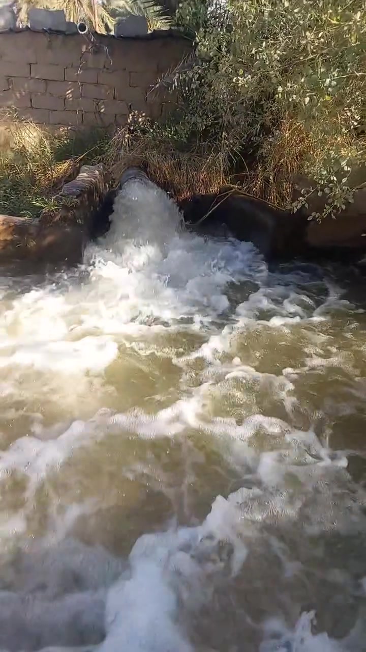 الدبوني • ٣٠٠دونم • بيت وكهرباء وماي