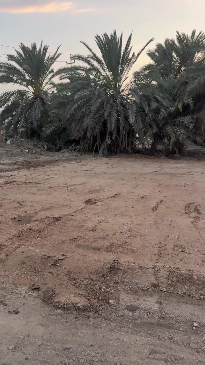 🔴 قطعة للبيع مساحة 190 م ثاني وحدة عن السايدين
✅ مقلوعة و مدفونة و محدولة مباشرتا تسوي بتلو
✅ كافة الخدمات ماء كهرباء مجاري علما عرض الشارع 18 م
✅ تفاصيل اكثر داخل الفيديو
🔴 ناصرية_الصخيين_شارع حسينية الغائب
***********
***********
