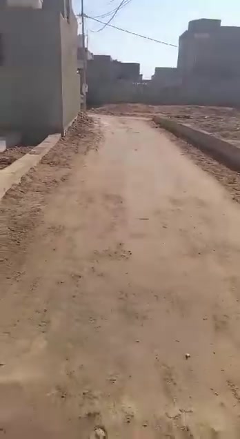 هيكل • ١٤٠م • طوريج خلف القنديل