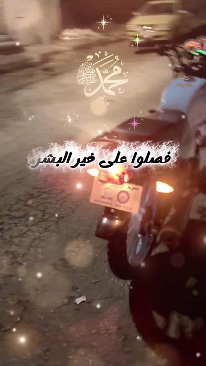شاينك • ٢٠٢٣ • مكفولة