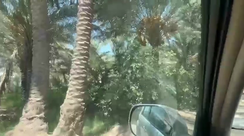 كربلاء الحسينيه • ٣ دونم • طابو زراعي
