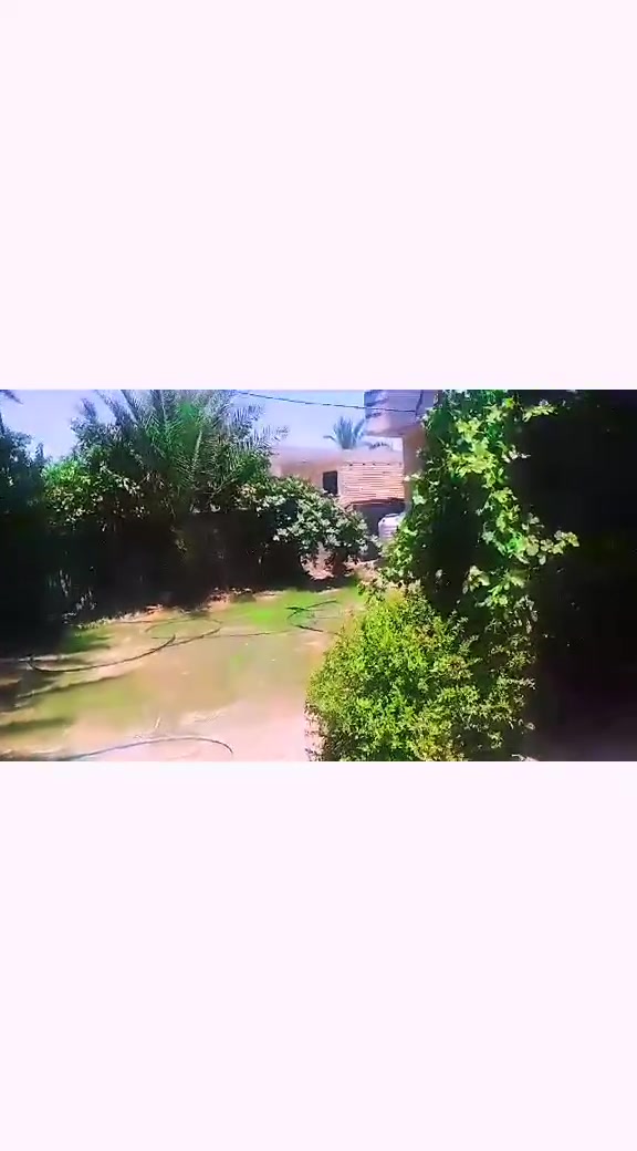 بيت للبيع مساحه البيت 500 
يحتوي عل 2 غرف نوم
مساحت الغرف 
غرفه الاولئ 5×4
غرفه الثانيه 5×4
الصاله 4×10
الاستقبال 4×10
المطبخ 3×7
يحتوي عل مجمع صحيات 
خارجيه وداخليه 
ويحتوي عل حديقه +طرمه 
*الموقع شارع حسنيه حجي شاكر ابو لحيه 
رقم الهاتف ***********
