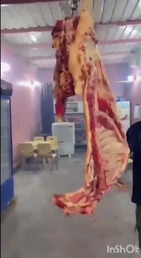 مطعم ومشويات مهند ومؤيد 
كباب لحم -كباب دجاج -تكه لحم -تكه دجاج -معلاك 
لحم خالص عراقي ٪؜
مستعدون الاحياء كافة الحفلات والمناسبات 
هاتف /***********
هاتف /***********

