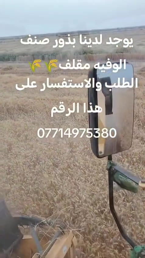 عله بركه الله يتوفر لده بذور حنطه مغلفات باب اول والشعير والعلاف ول الشراي بي خيروي دلل دين ماكو فلوس نقد العنوان واسط كوت وبسعار تافسيا ودين ماكو ابد اتصل عله هاذه الرقم وبيك خير وتدلل ‏‪***********‬‏

نص مكتوب في الصور:
- على بركة الله
- يتوفر لدينا
- البذور الحنطه
- مغلفات وبانواعهه
- وبذور الشعير
- وبانسب
- الأسعار
- جودة عالية
- مناسبة الجميع الأراضي
- إنتاج وفير
- الاتصال
- ***********
- سيد حاكم