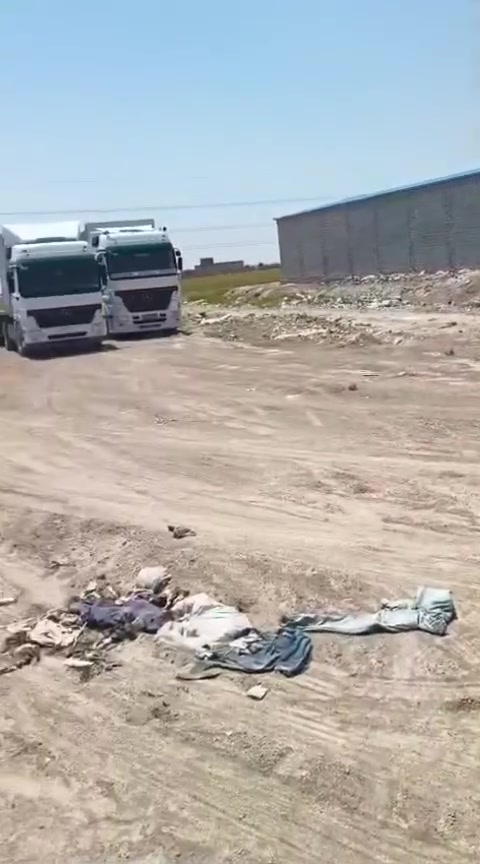 ناصريه سيد ادخيل • ٢٥٠٨م • تجاري شارع عام
