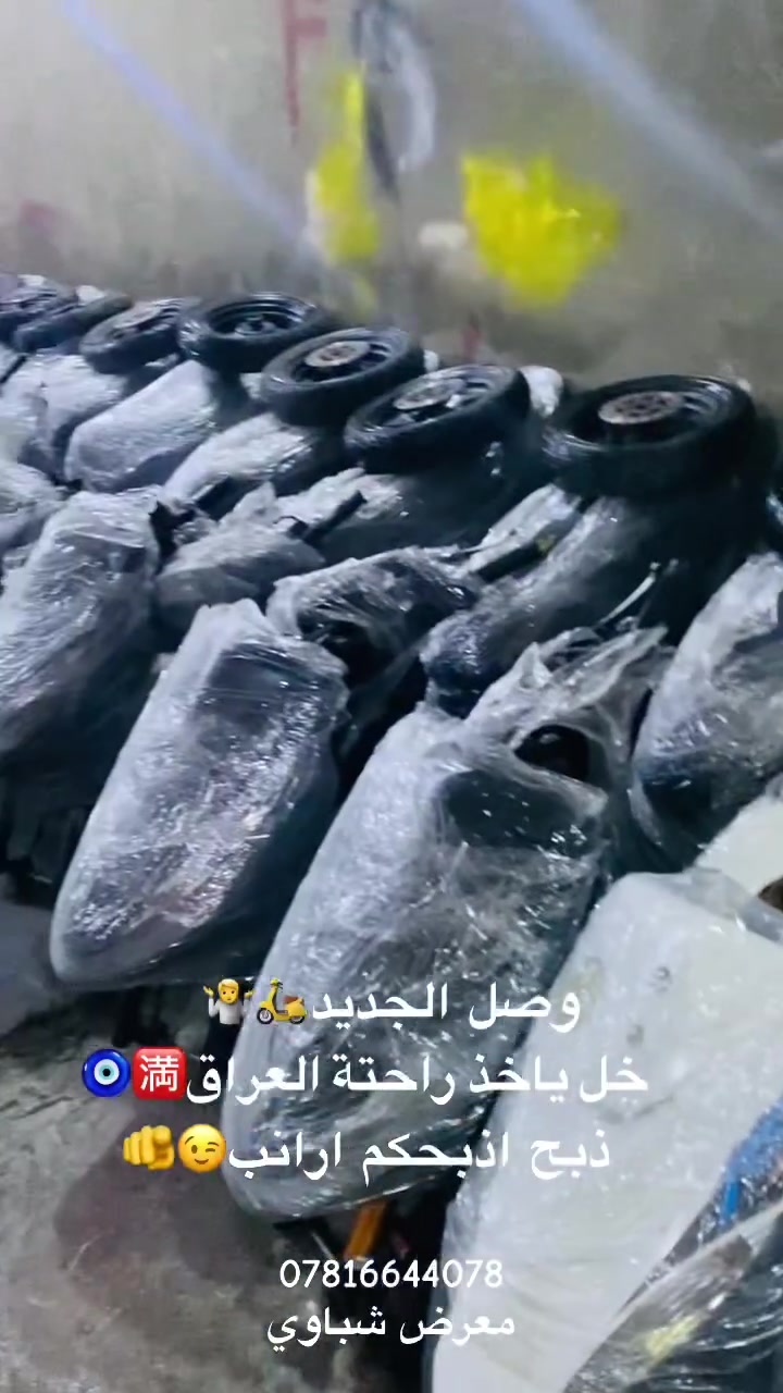 ماكس • وجبة جديدة • معرض شباوي