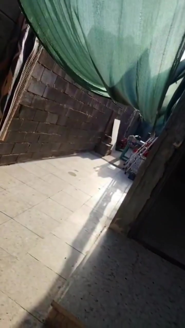 يا الله تعال يمي مخلص من الايجارات هاي فرصه بلاش دار للبيع في مجمع فدك المشتل من جهة النفط مساحة ١٤٠ متر غرفة واحدة وصالة واستقبال وكراج كبير البيت بناء درجه اولى الارضيه رفت السكف صب مسلح كاشي سراميك متوازين على بيعته تصوير واضح امامكم ولدينا عروض اخرى باسعار مناسبه السعر ٢٨ وبي مجال بسيط اذا اقصاد يرهم مقدمه ٢٠ والباقي اقصاد خدمات كامله ما عدا تبليط الستفسار مكتب المصطفى دلال ابو علي ***********يوجد واتساب.
