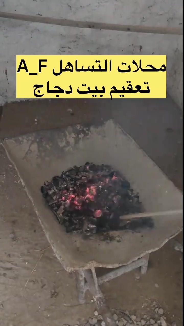 خدمات • متفرقة • ماكو تفاصيل