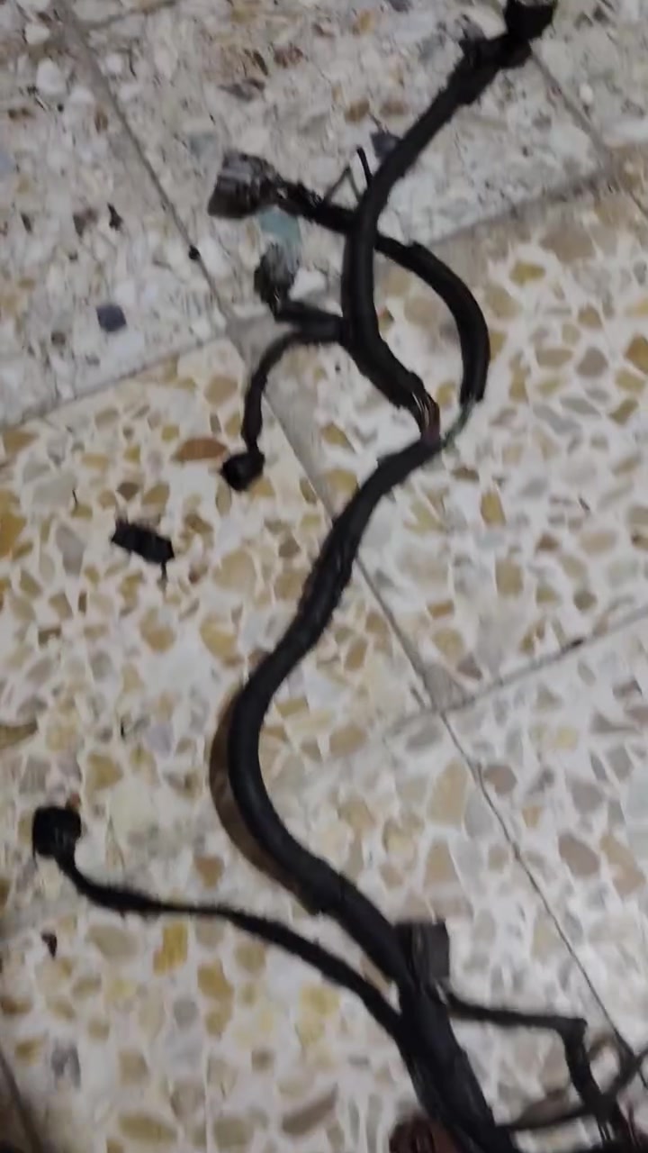 ***********

