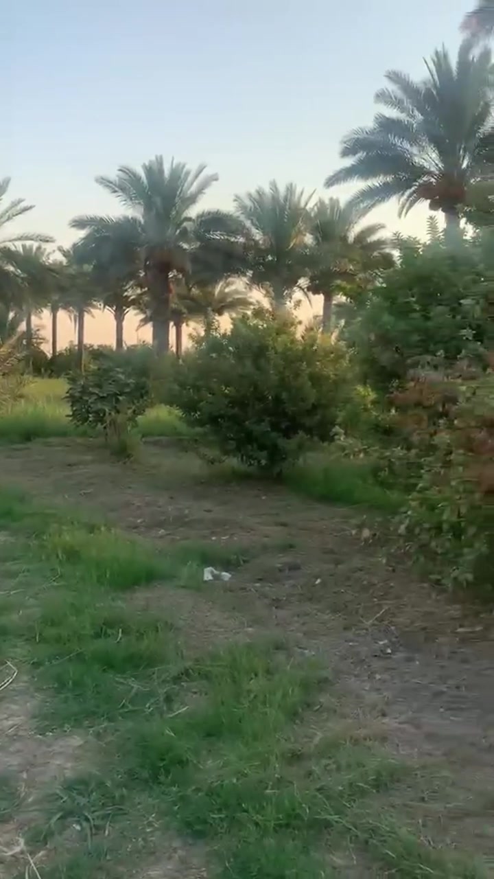 بستان شاطيه ٢٤ دونم خمسه دونم طابو ولباقي عقد ١٧ وجهه سده مع 4 ابيوت الصويره للاستفسار على رقم ***********
