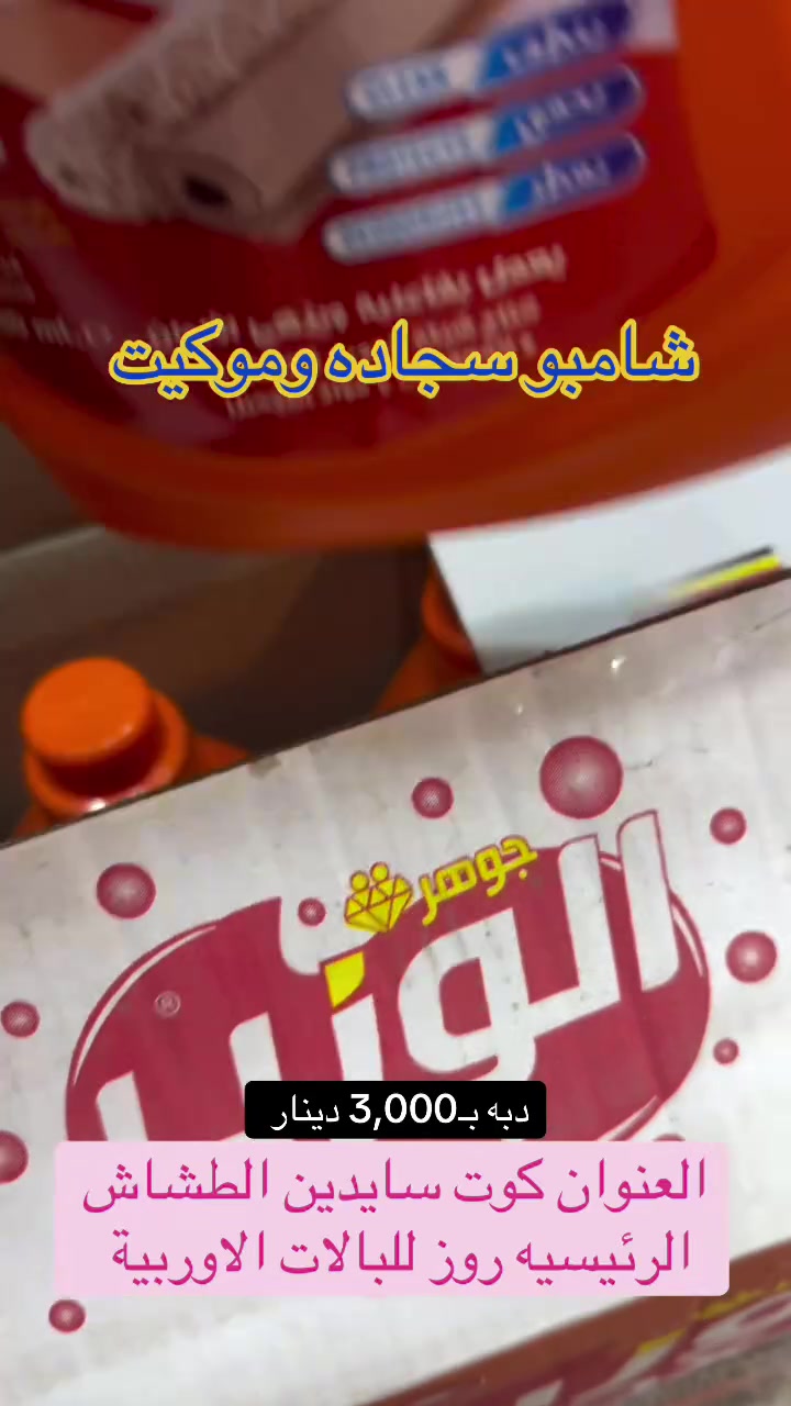 كوت سايدين • الطشاش الرئيسية • روز للبالات الاوربية
