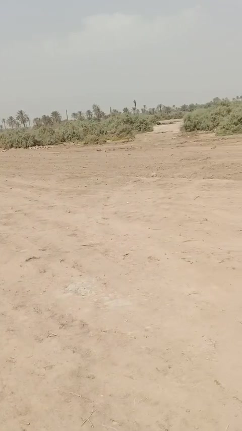 اطوريج الخيرات • سند ٢٥ • ٢٥دونم