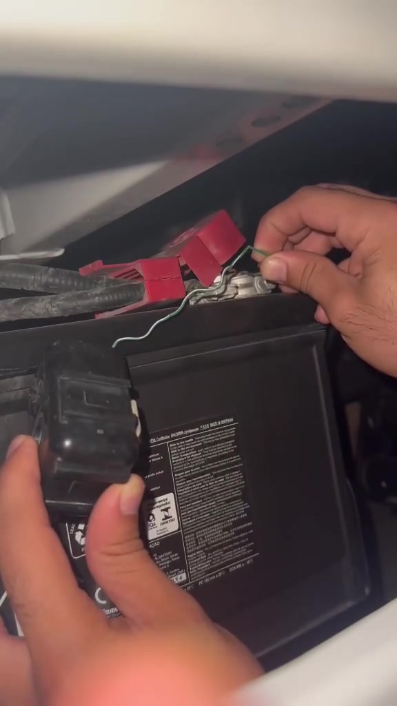 هورن • أصلي • أخضر