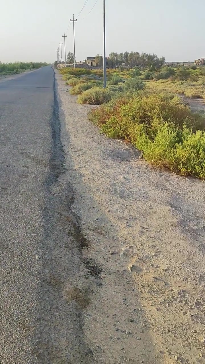 ٢٤٠٠٠ طير • ١٣ دونم • طابو سند