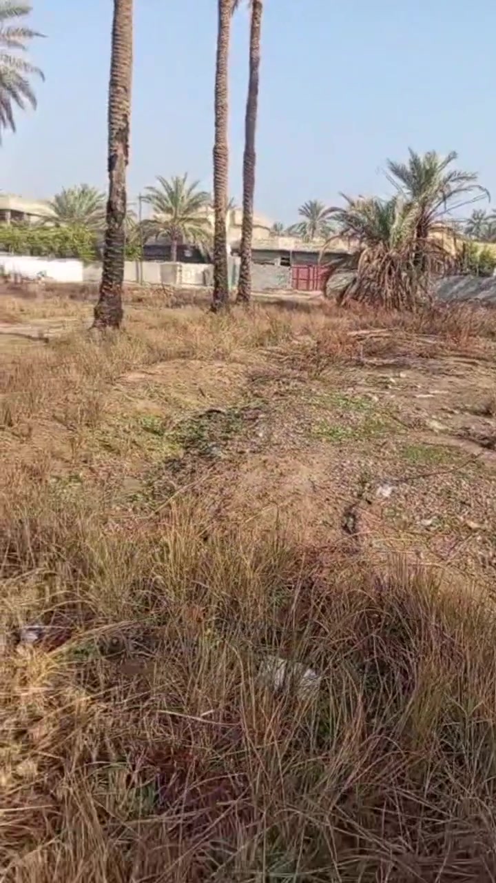 📢🏡 يعلن مكتب الفراجي للعقار عن توفر قطعة أرض سكنية للبيع
📐 المساحة: 430 متر مربع
الواجهة 13 م
النزال 33 م
📃سند 25 زراعي
📍 الموقع: شارع البحطاب – بعد فرع أستاذ جليل التميمي
🛣️ على شارع فرعي مباشرة وموقعها مميز
💧 ماء | ⚡ كهرباء | 🛣️ تبليط
💰 السعر: 32 مليون دينار عراقي
🤝 قابل للتفاوض
📞 ***********  ***********
🏢 مكتب الفراجي للعقار  بإدارة الحاج بسام حميد الفراجي.
