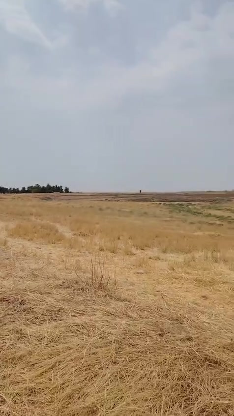 قطعه الارض طابو ملك الصرف للبيع في كركوك طريق داقوق بغداد مساحه 235 دونم قريبه من شارع رئيسي تقريباً ٥٠٠ متر بعد جسر داقوق جسر شاي واصله ماء مشروع سعر دونم واحد ٩ مليون وينباع قطعه كامله مو دوانم للمزيد من المعلومات اتصال على رقم مبايل ***********
