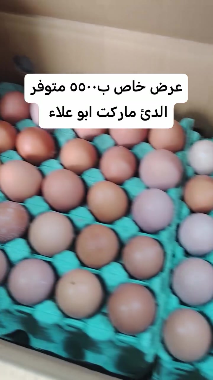 سبع البور • ماكو تفاصيل