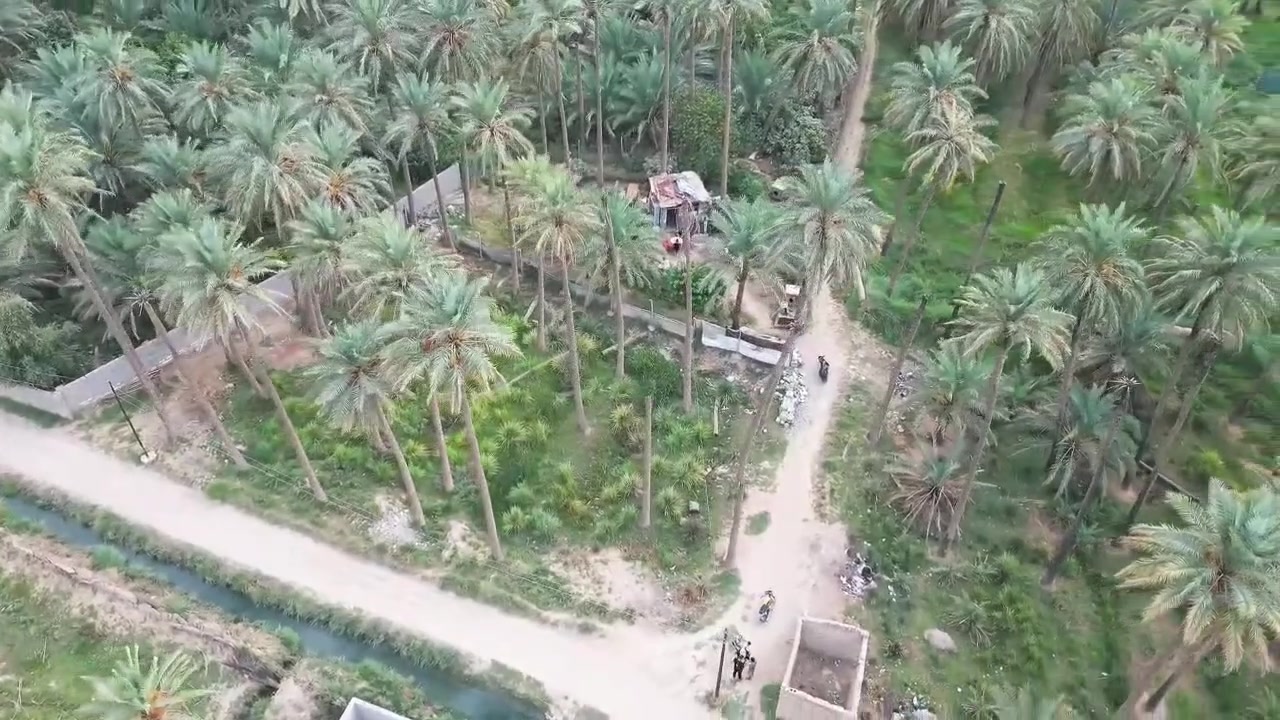 ديالى • ٨٠٠م • بستان