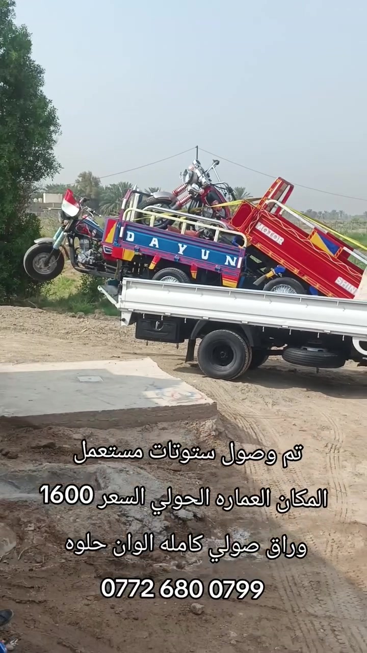 العماره الحولي • برتقالي • ستوته