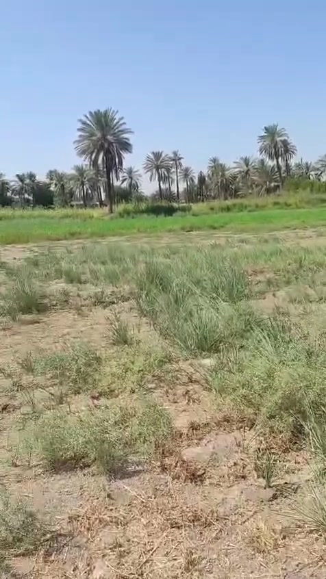 التفاصيل بل فيديو المكان كربلاء ***********

