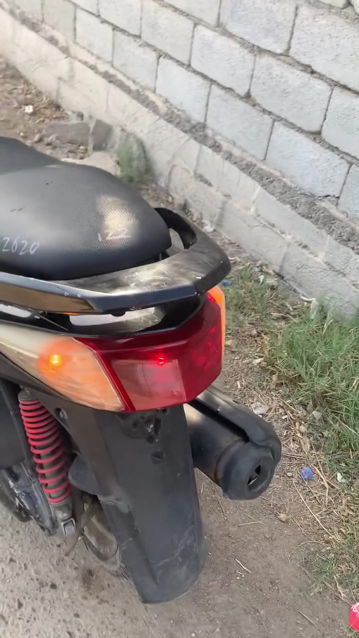سكنس فحل • مكفول • كفاله عامه