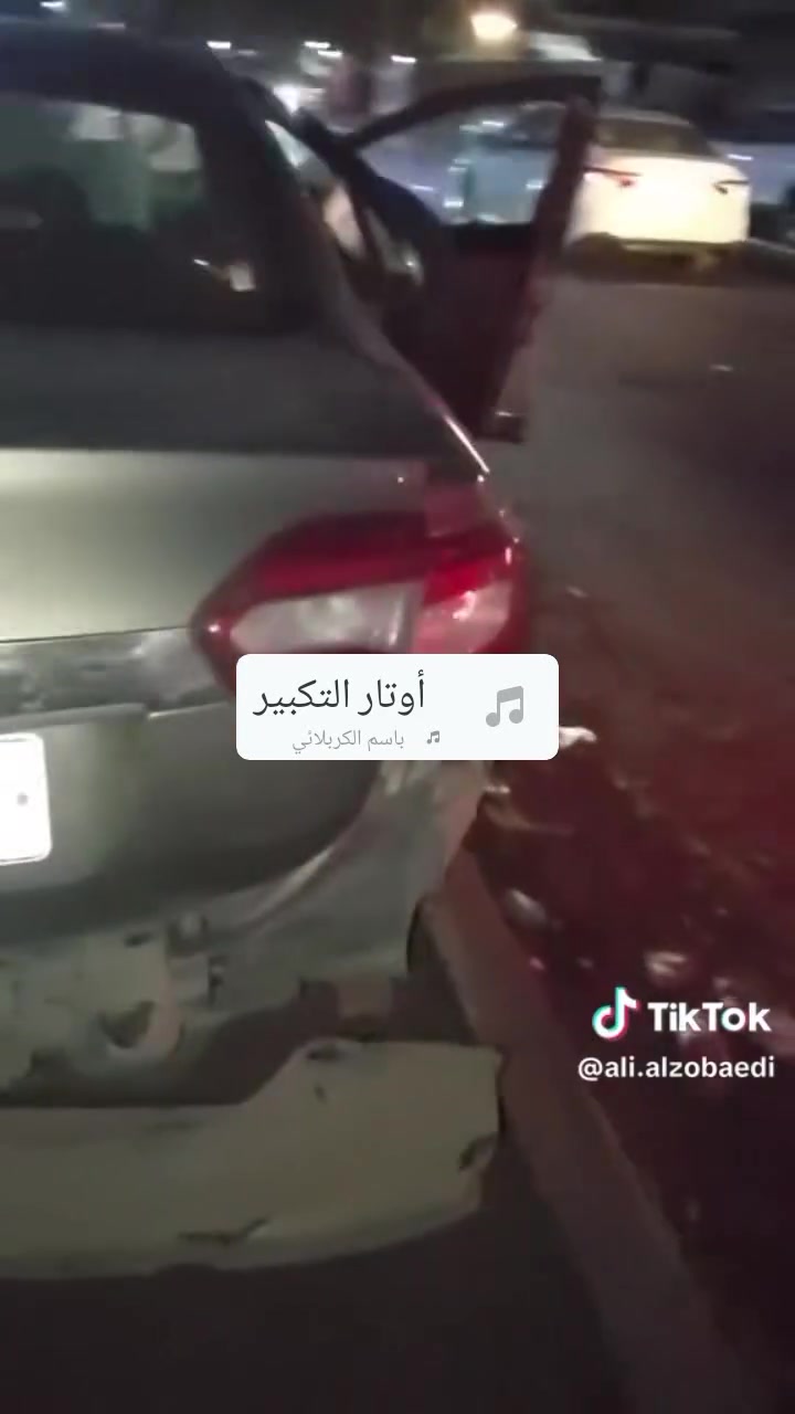 رينو فلوني • ٢٠١٦ • على ضرره