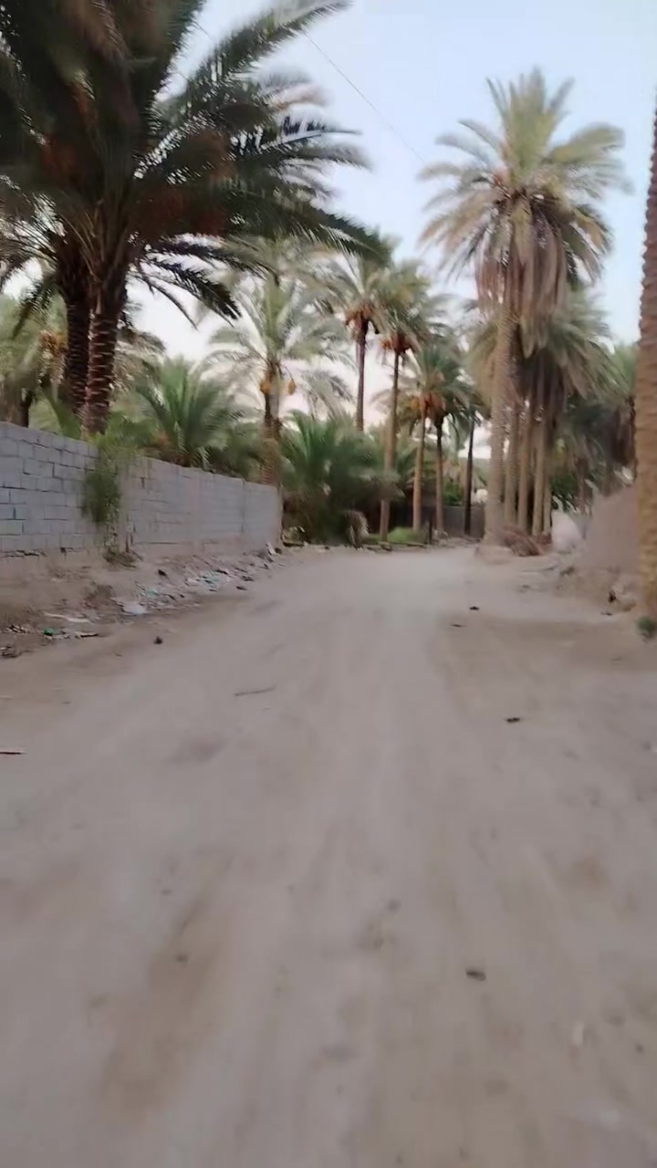 للبيع ارص زراعي مساحه 1500 م بيه كافه الخدمات تحويل سند باسم المشتري سند 25 الارض موقعه جيد من ماء كهرباء  حتى تباع نصف منه ولي يريد المساحه كله تقع على شارعين تدخله من طريق حله بغد او تدخله من المنطقه وشارع الي كدامه 15 م السعر 85 وقابل للتفاوض ت ***********
