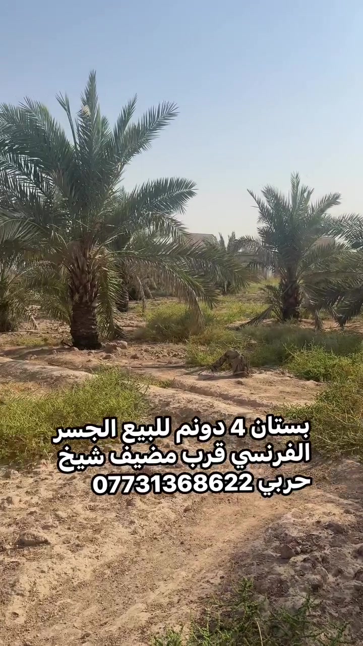 لا توجد تفاصيل
