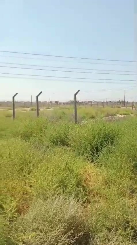 لا توجد تفاصيل
